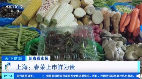 上海香椿一斤卖到120元！一天一个价有菜农嫌太贵不进货(图1)