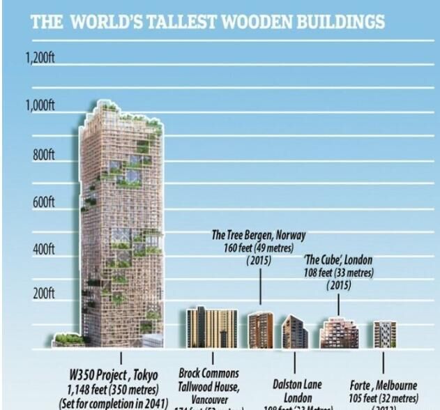 全球最高木制大楼平均1米耗资1亿网友：那就叫“佐佐木”吧！(图2)