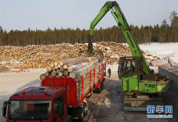 俄罗斯著名北方针叶林木材生产地（高清组图）(图4)