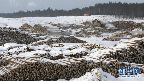 俄罗斯著名北方针叶林木材生产地（高清组图）(图5)