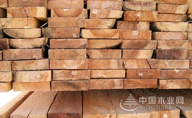 天津木材市场有哪些？(图1)