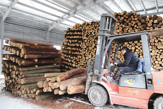 重庆西部港桥木材市场已入驻经营户300多户(图1)