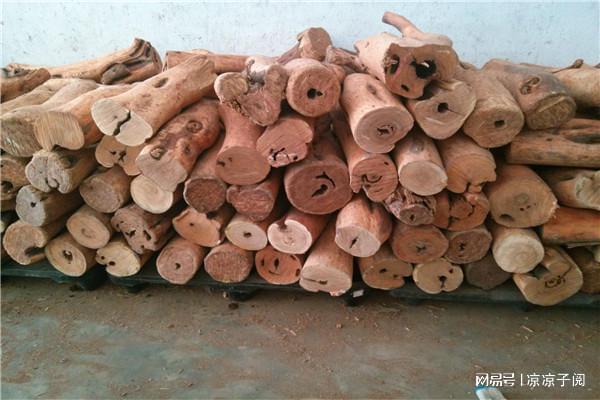 中国最硬的木头排名前五名檀香木上榜第二用途广泛(图2)